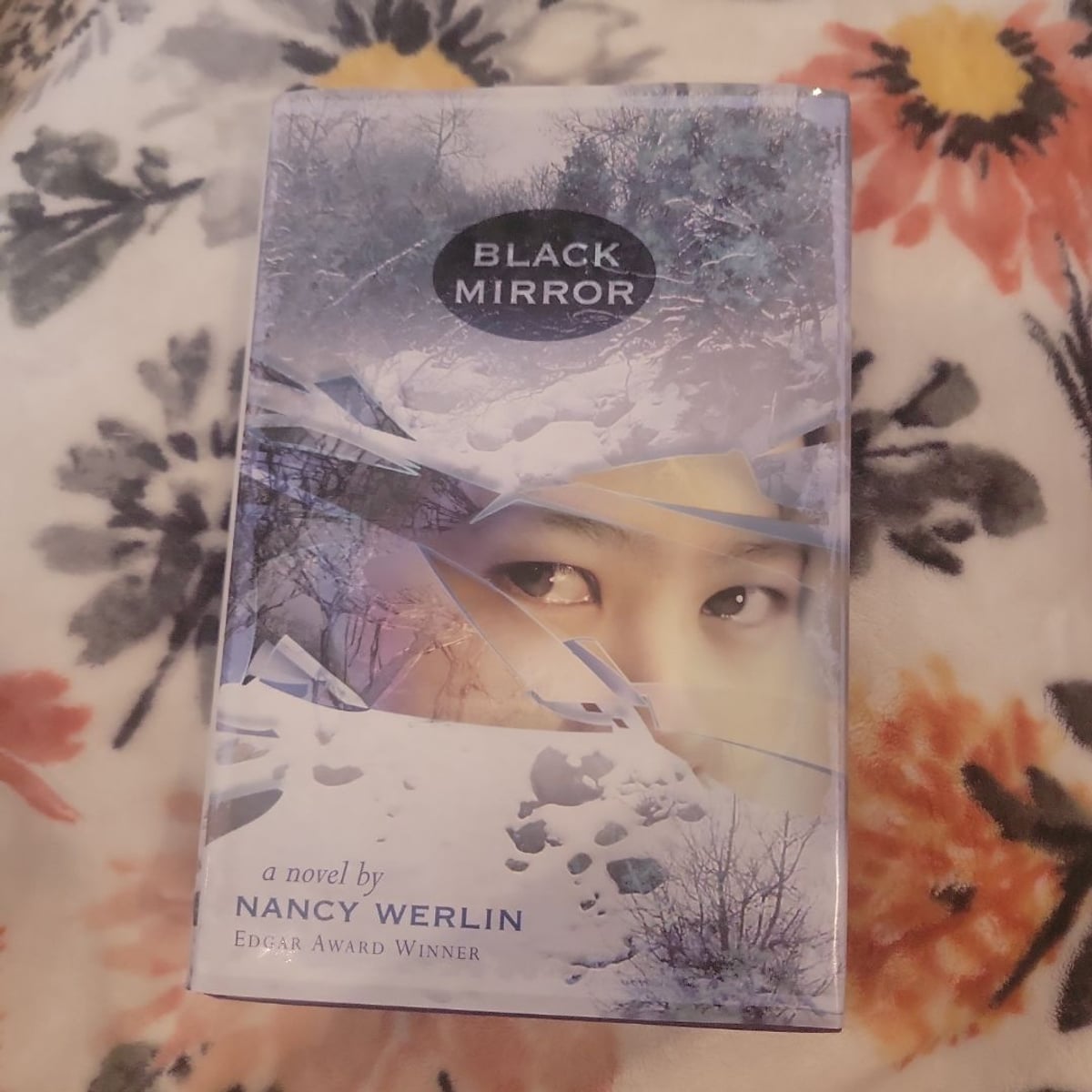 Black Mirror by Nancy Werlin