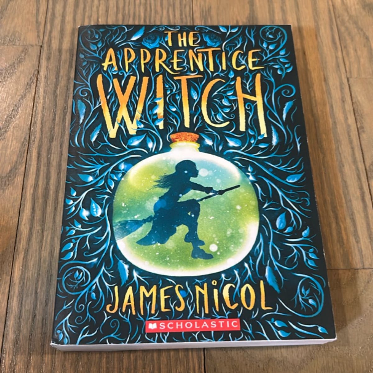 The Apprentice Witch by James Nicol