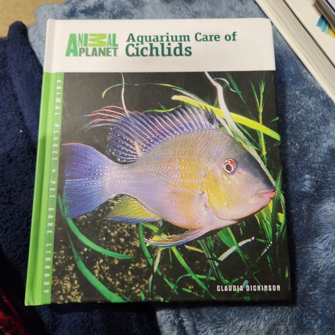 Aquarium Care of Cichlids