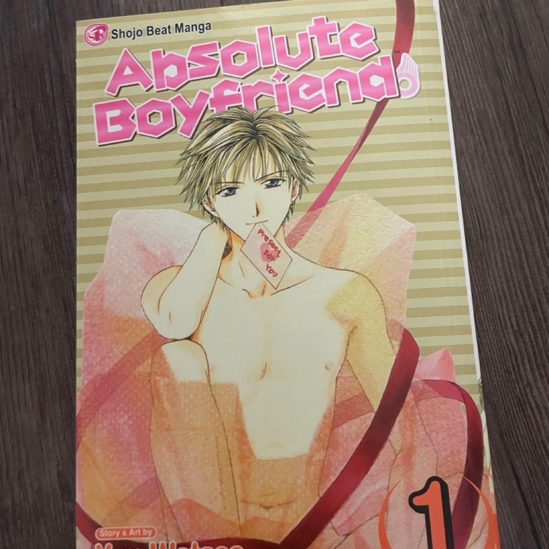 Absolute Boyfriend, Vol. 1