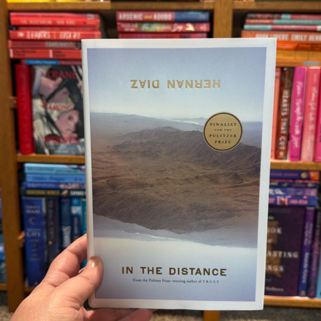 In the Distance