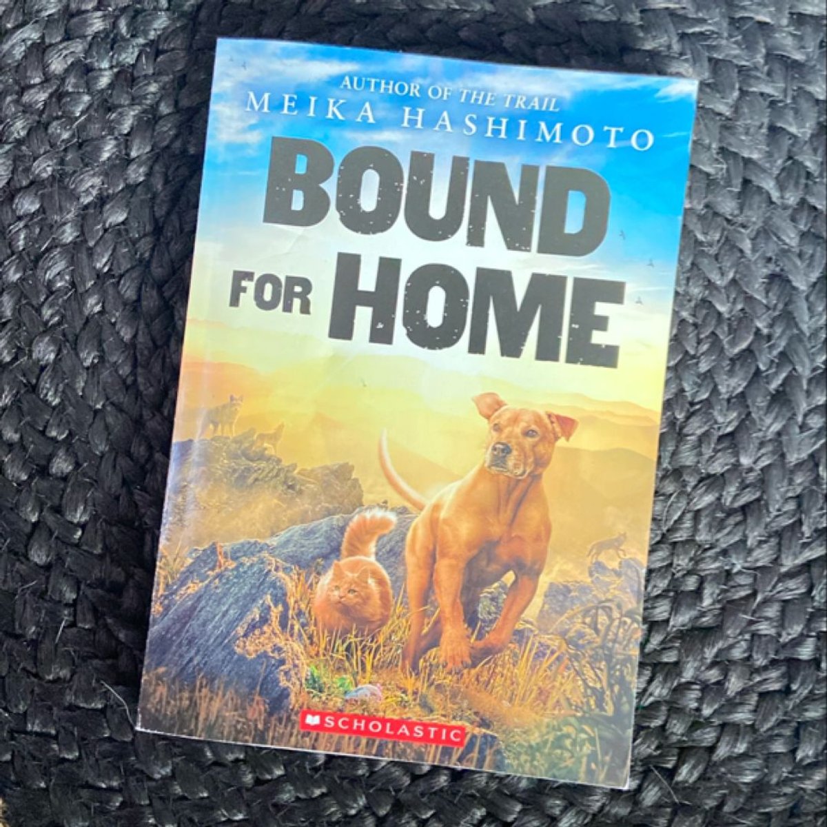 Bound for Home by Meika Hashimoto