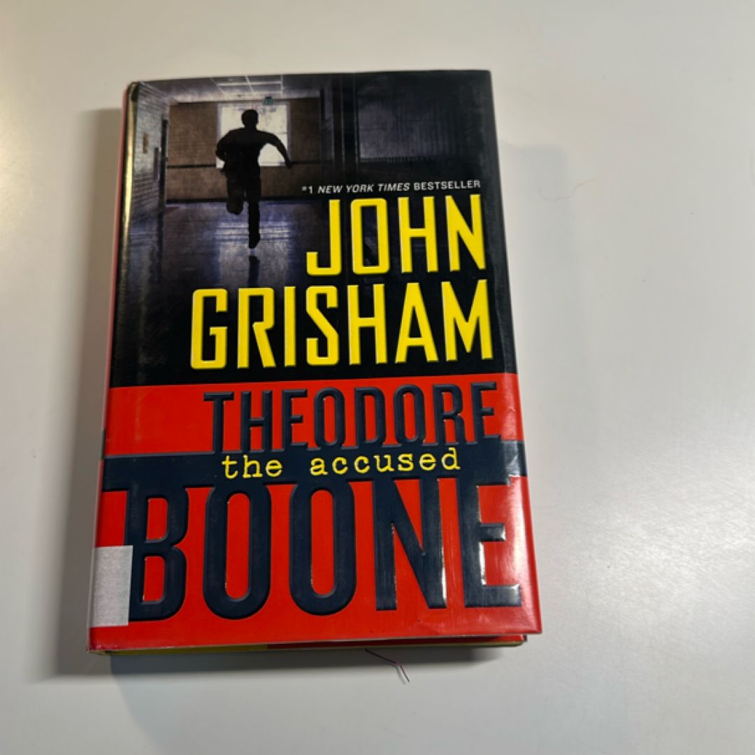 Theodore Boone: the Accused