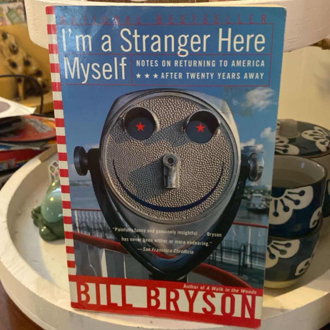 I'm a Stranger Here Myself