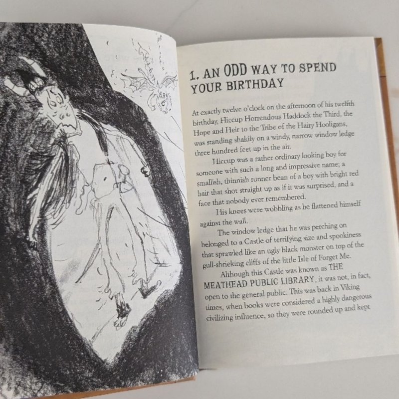 A How to Train Your Dragon: a Journal for Heroes