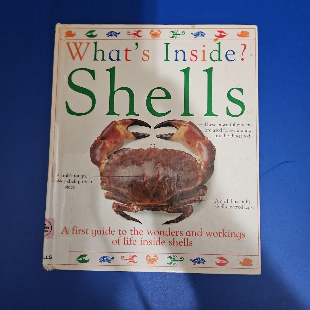 Shells