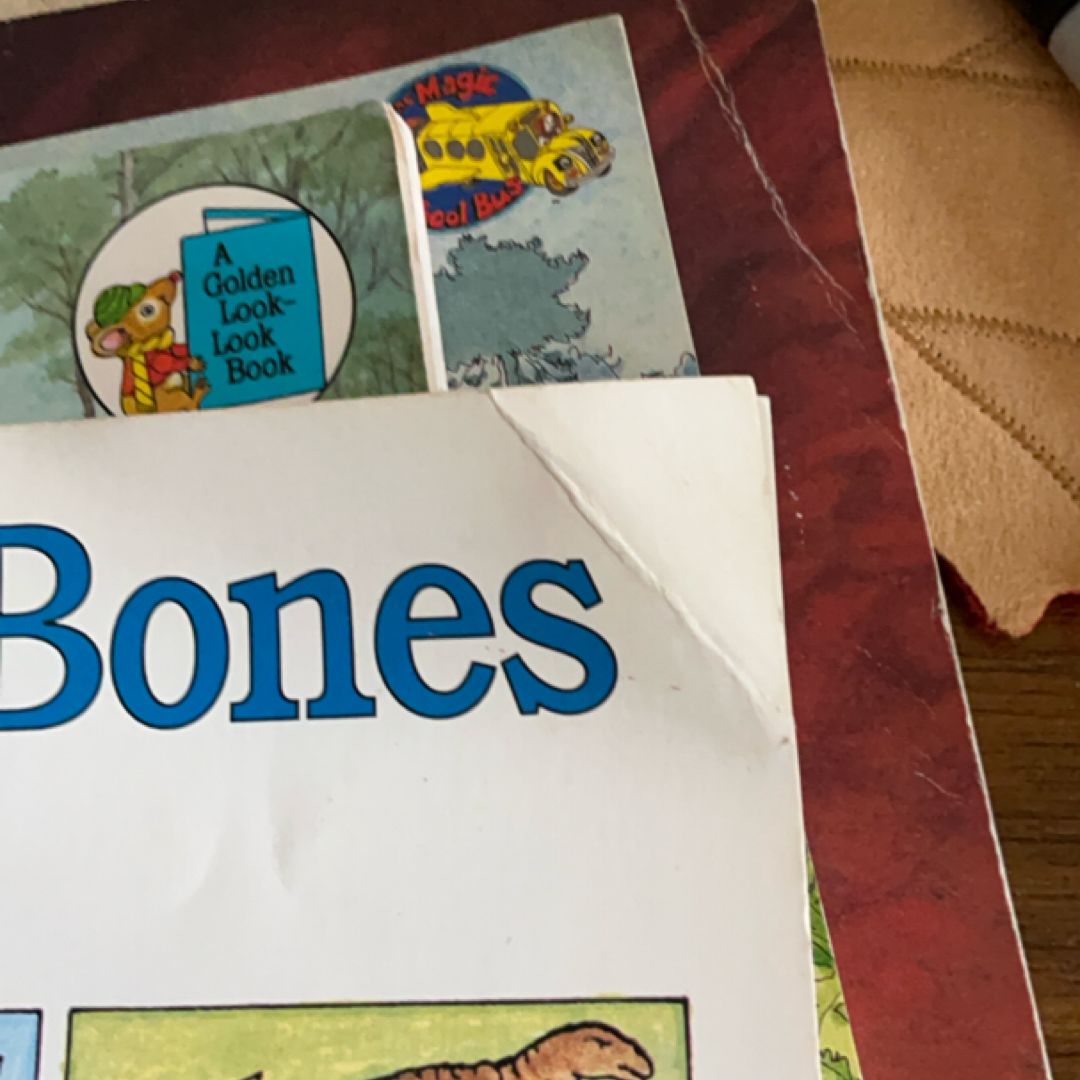 Dinosaur Book Bundle 