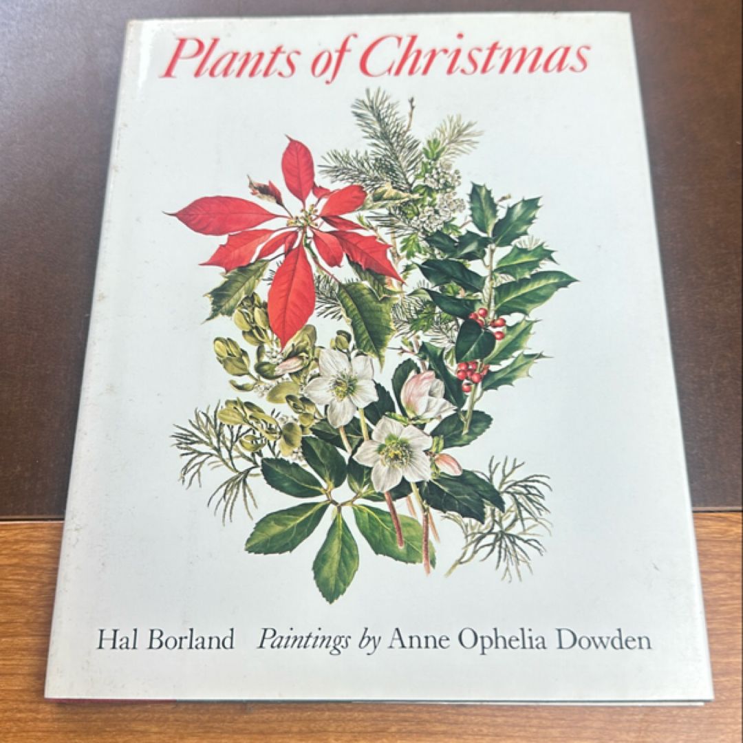 Plants of Christmas