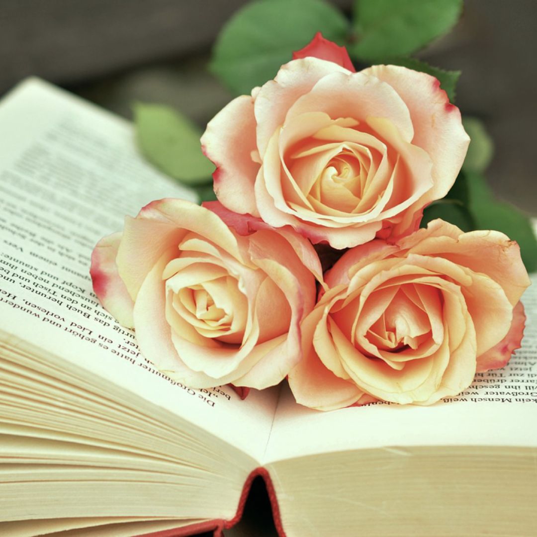 Porchlight & Pages