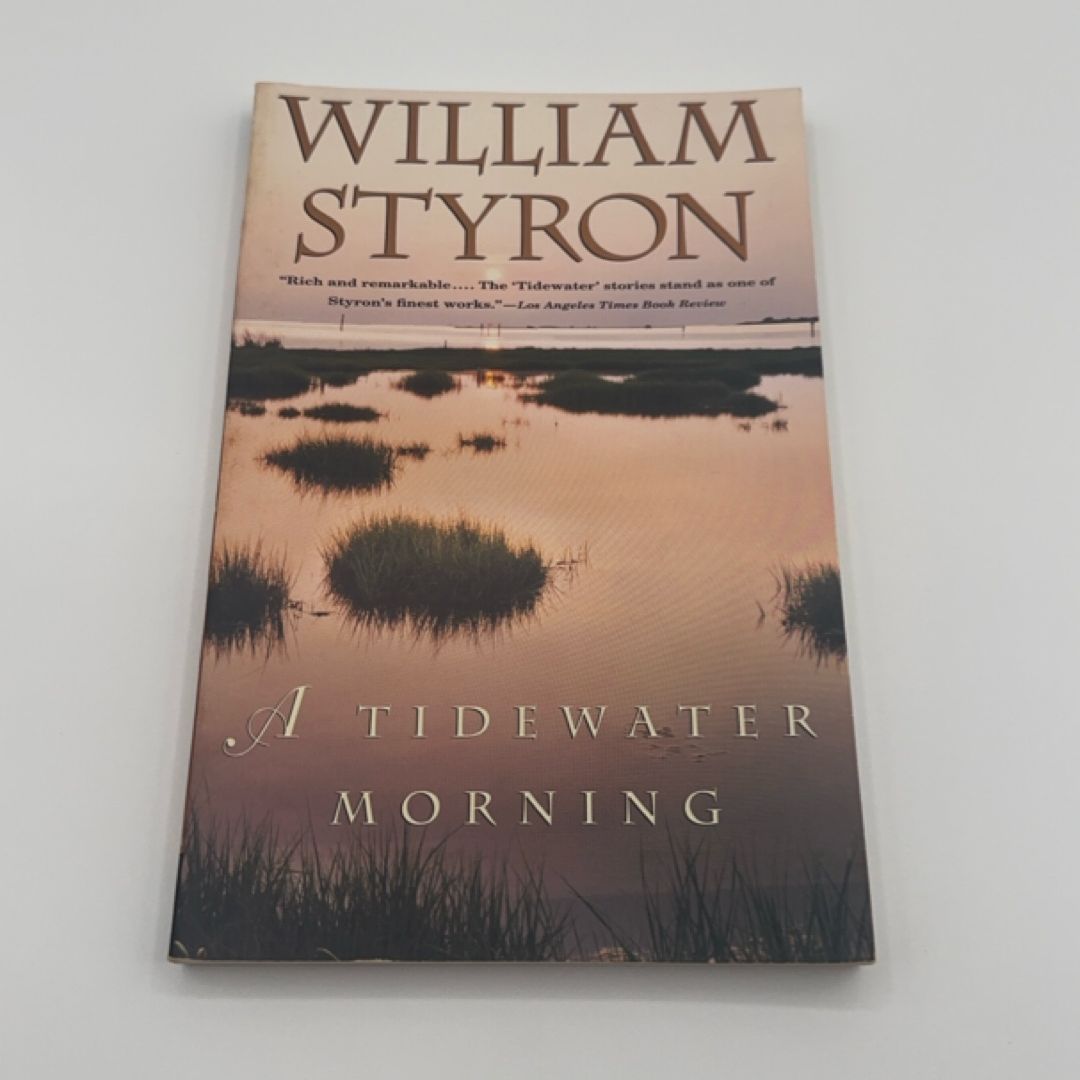 A Tidewater Morning