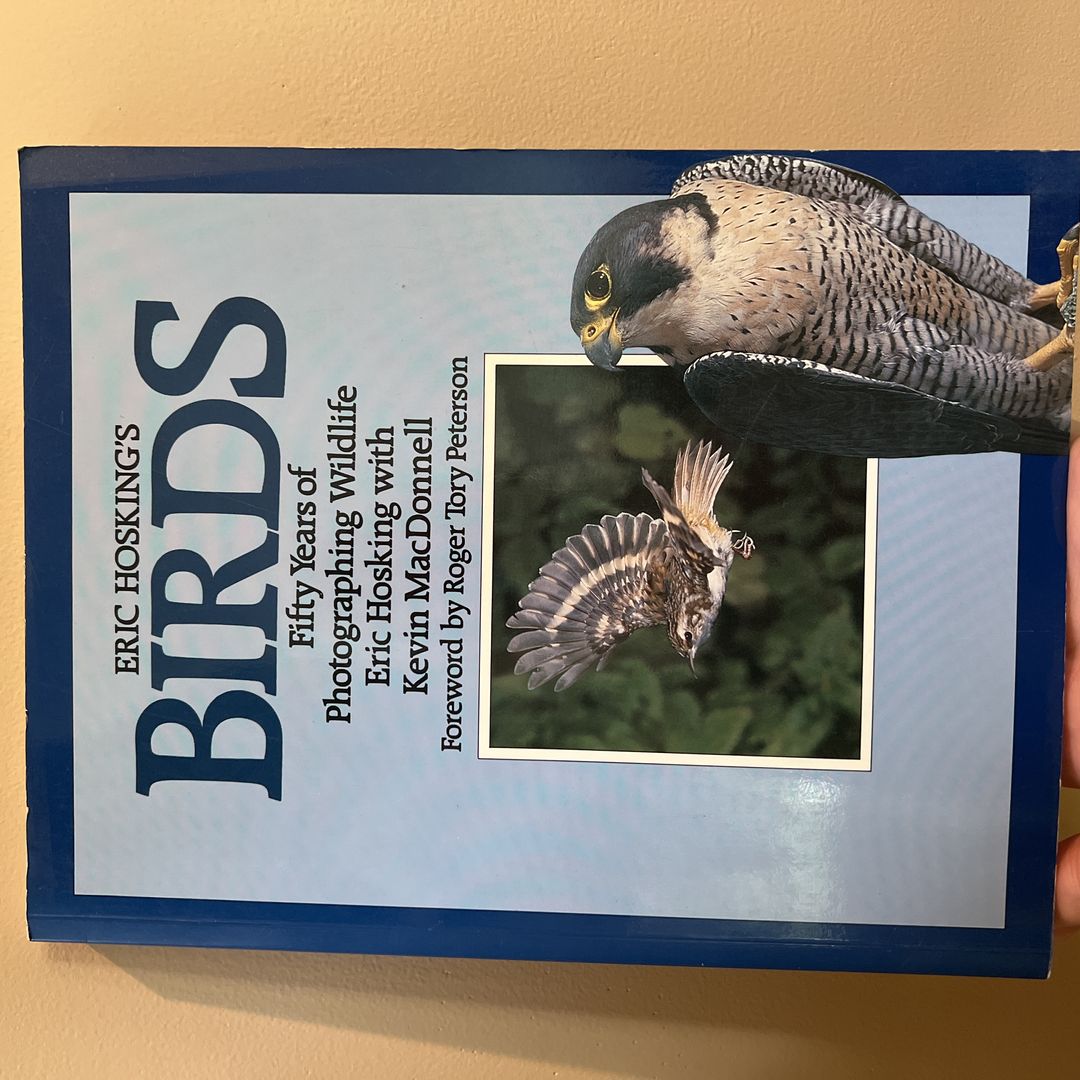 Eric Hosking's Birds
