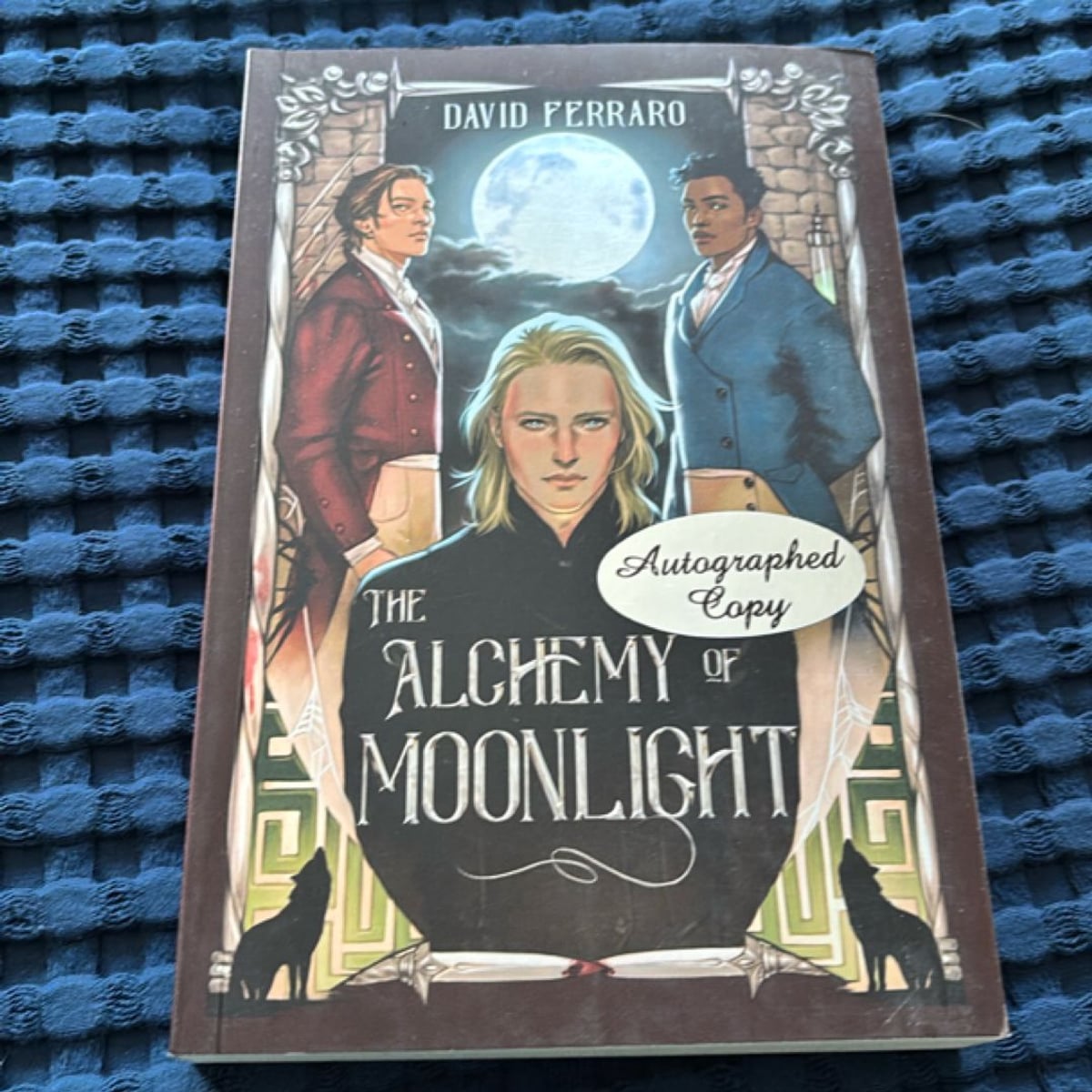 The Alchemy of Moonlight by David Ferraro