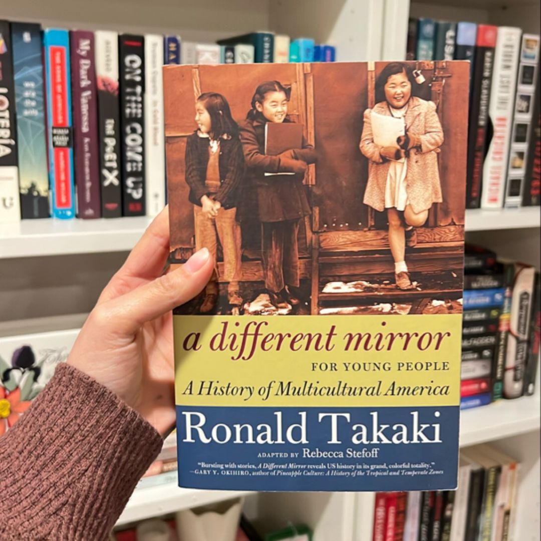 A Different Mirror for Young People