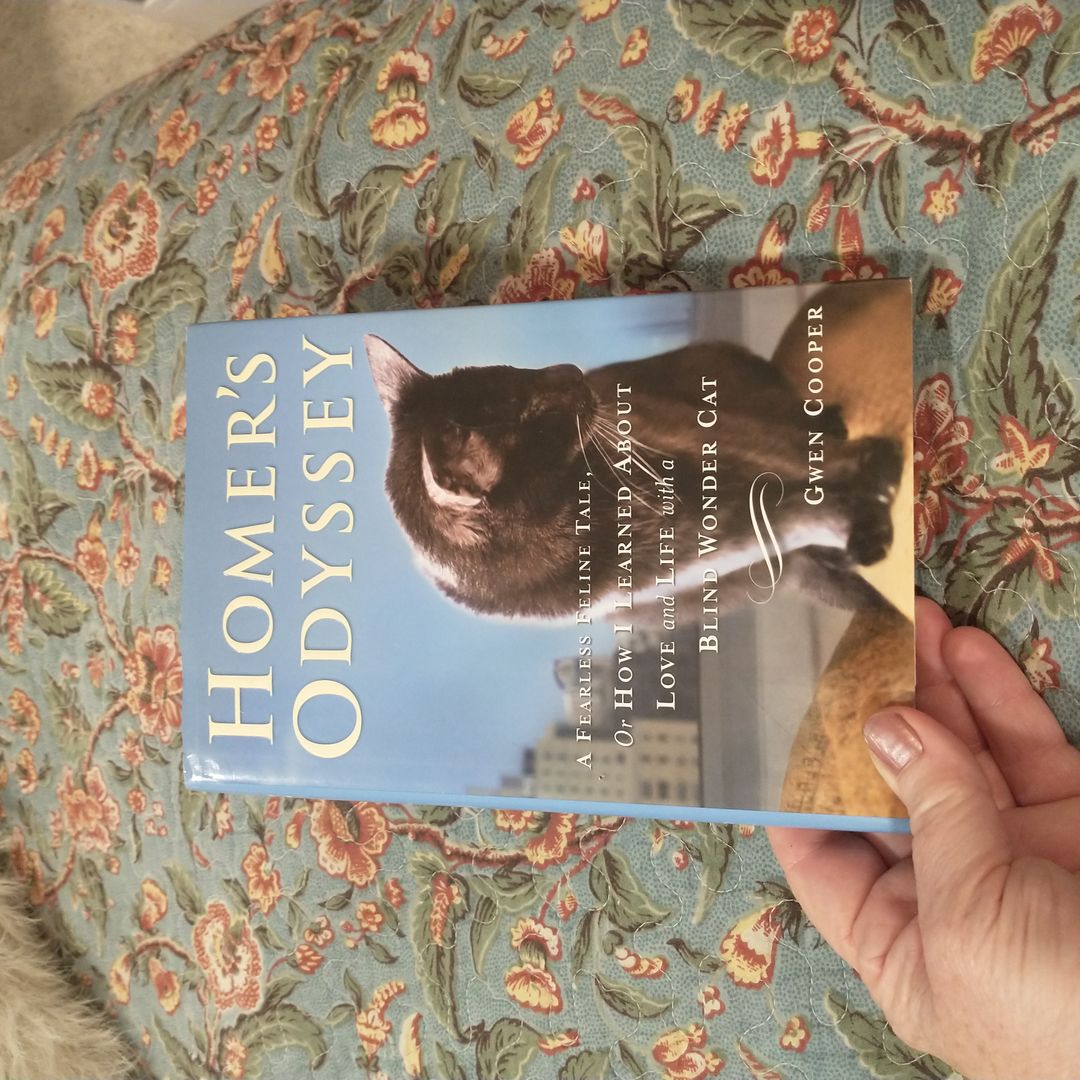 Homer's Odyssey