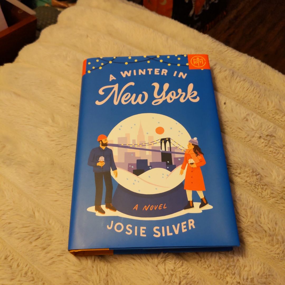 A Winter in New York