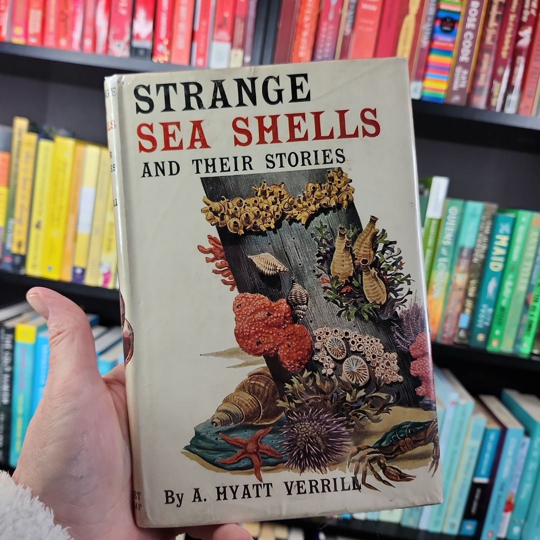 Strange Sea Shells