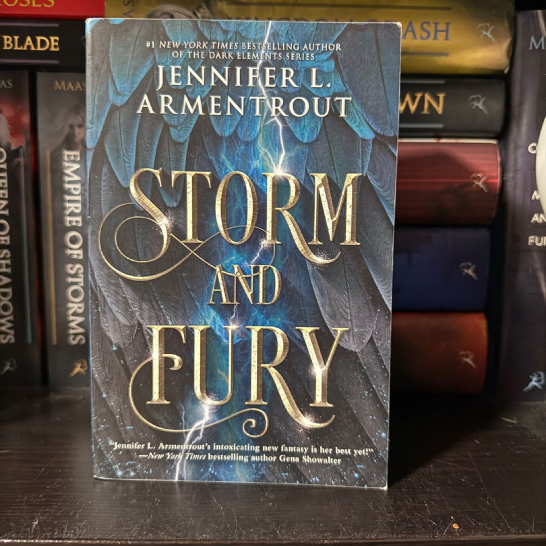 Storm and Fury