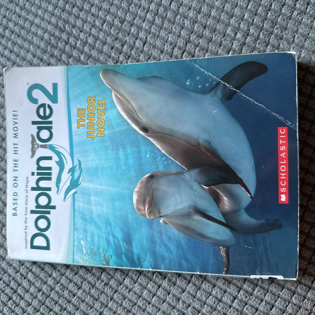 Dolphin Tale 2