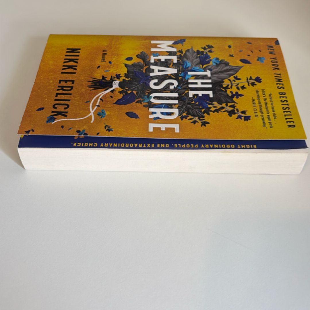 The Measure by Nikki Erlick, Paperback | Pangobooks