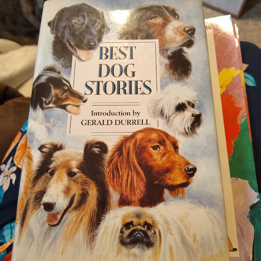 Best Dog Stories