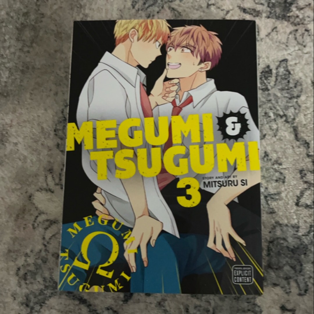 Megumi and Tsugumi, Vol. 3