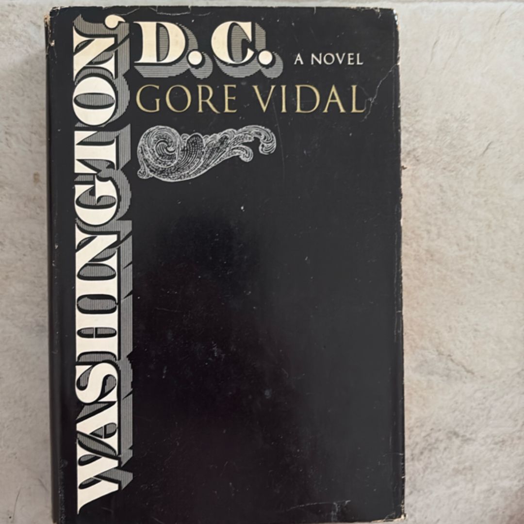 Washington DC A Novel