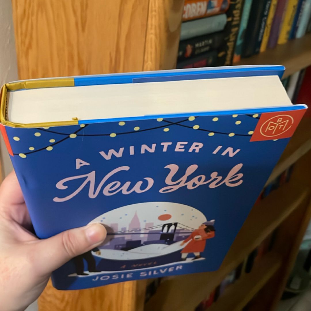 A Winter in New York