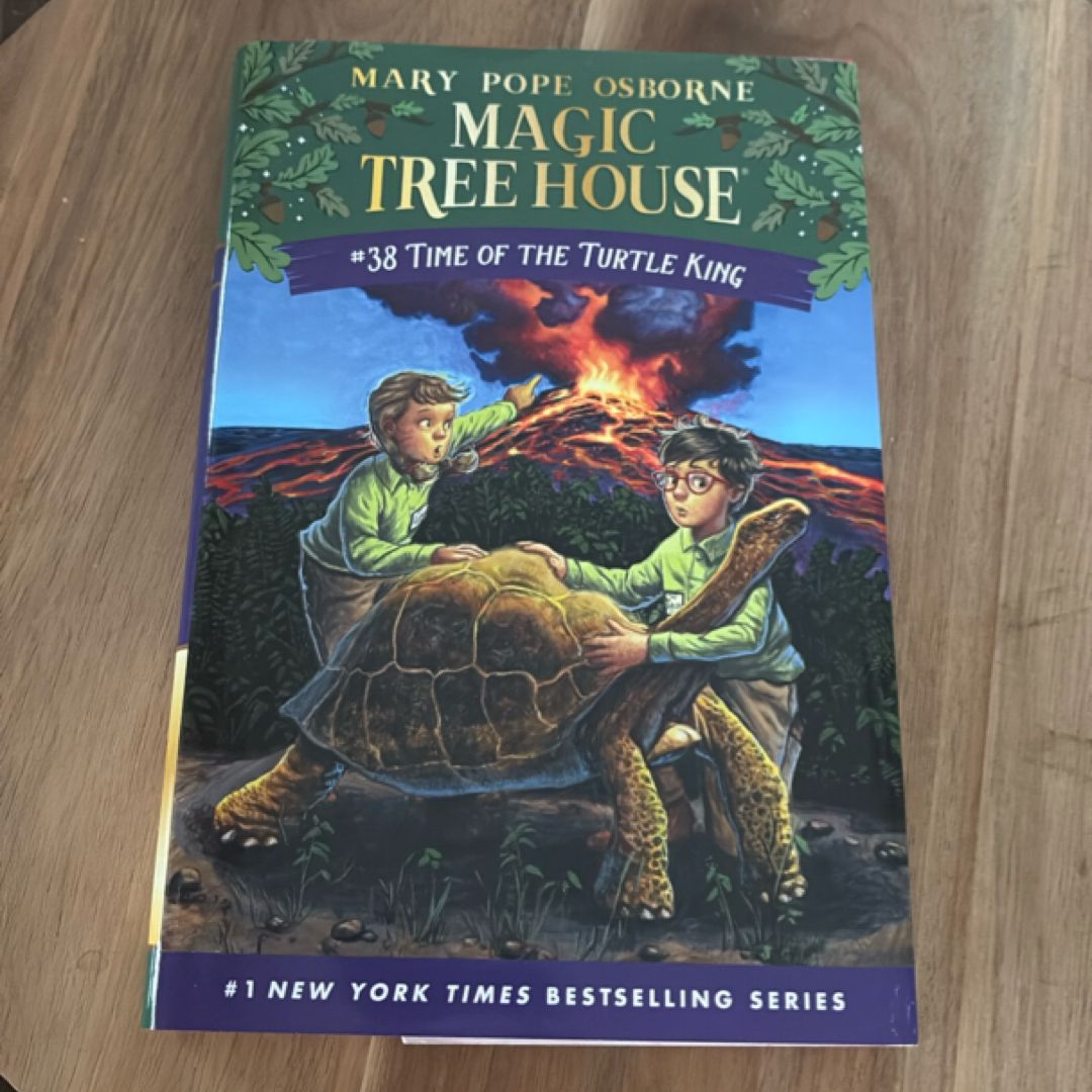 Time of the Turtle King