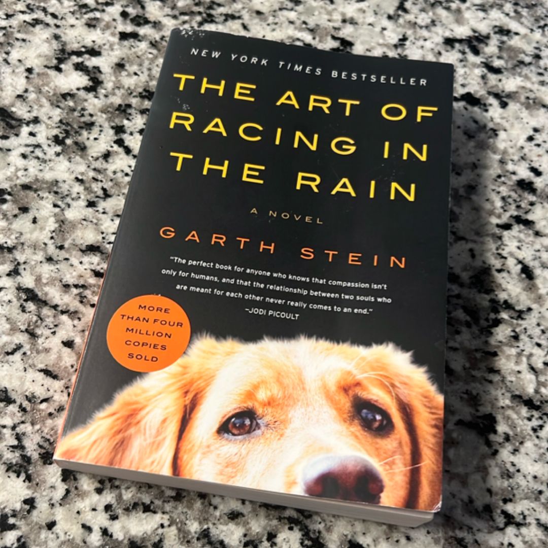 The Art of Racing in the Rain