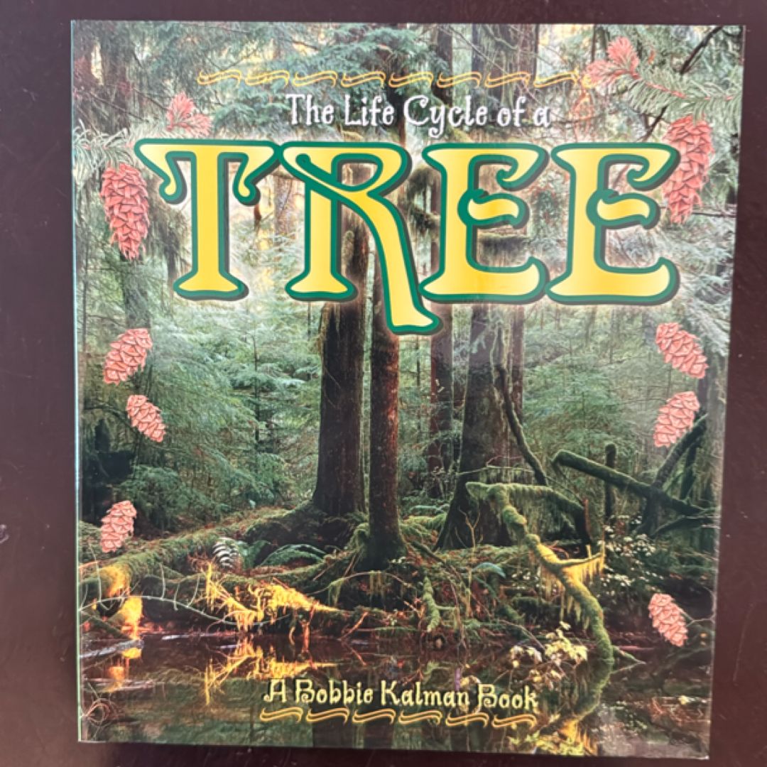 The Life Cycle of a Tree