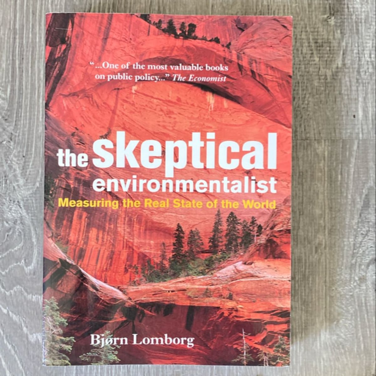 The Skeptical Environmentalist by Bjørn Lomborg