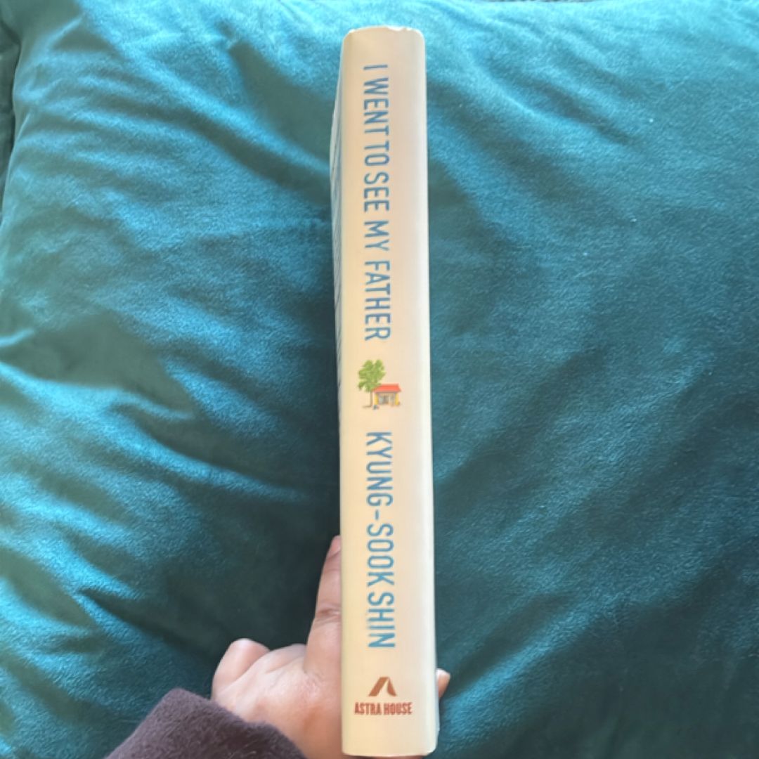 I Went to See My Father