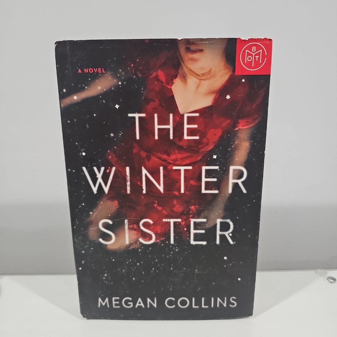 The Winter Sister