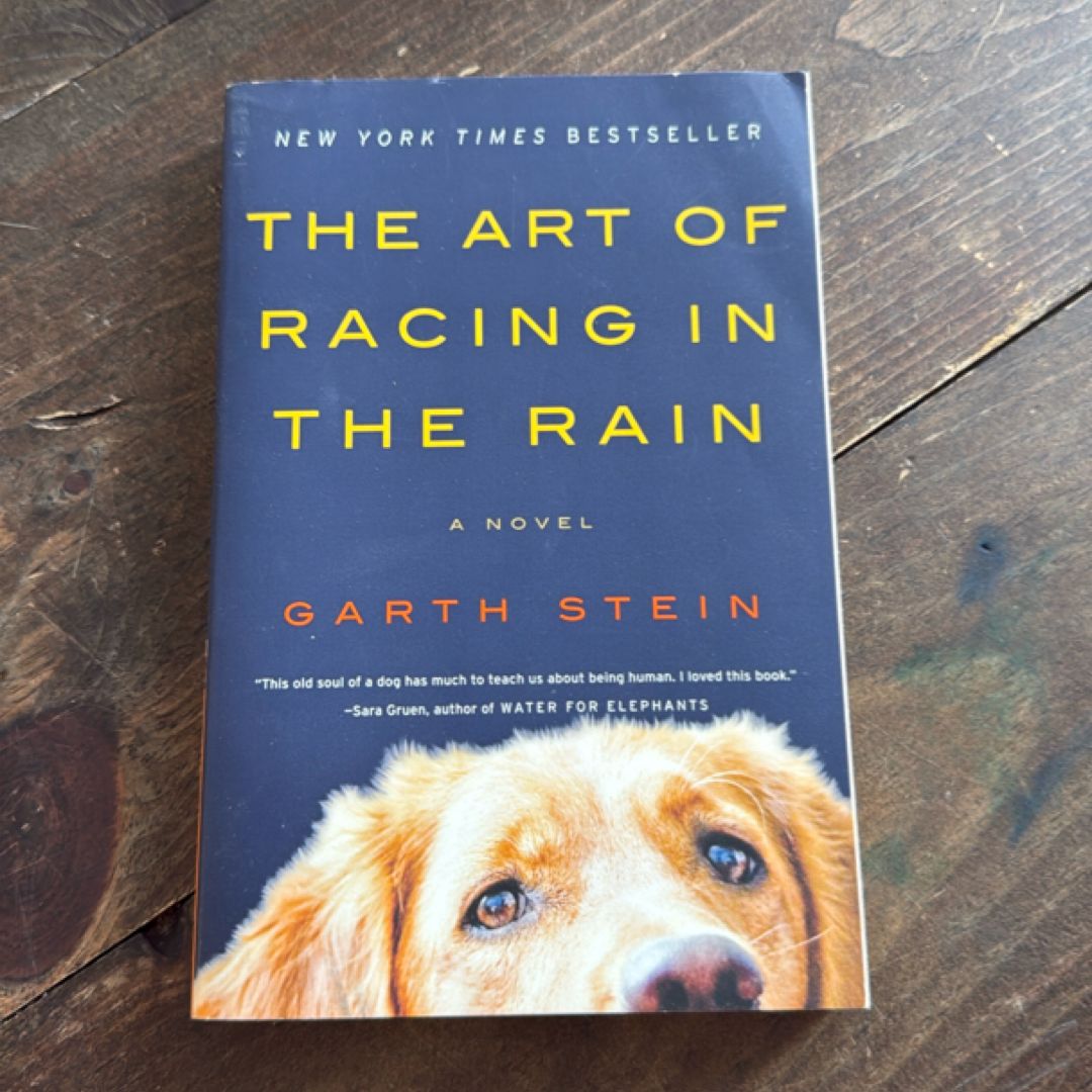 The Art of Racing in the Rain