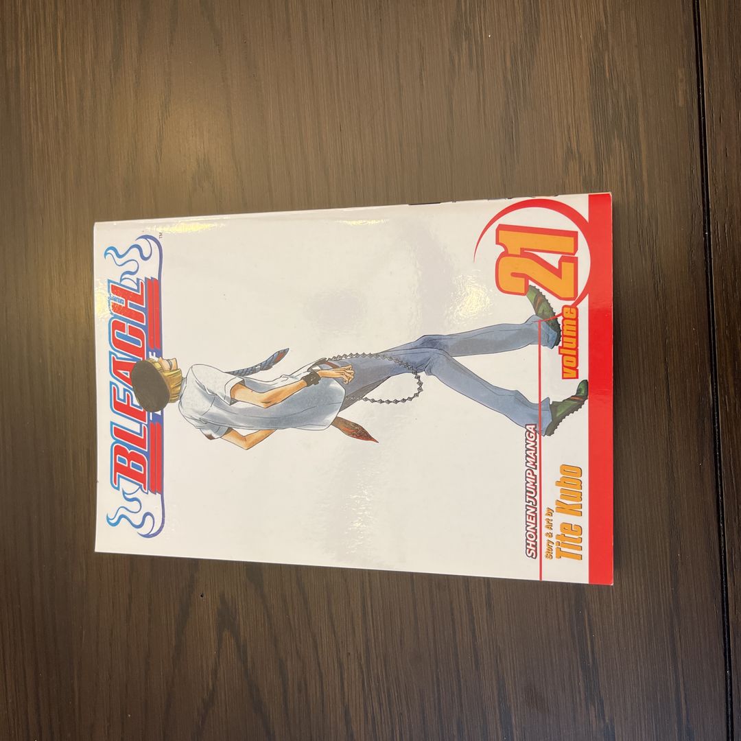 Bleach, Vol. 21