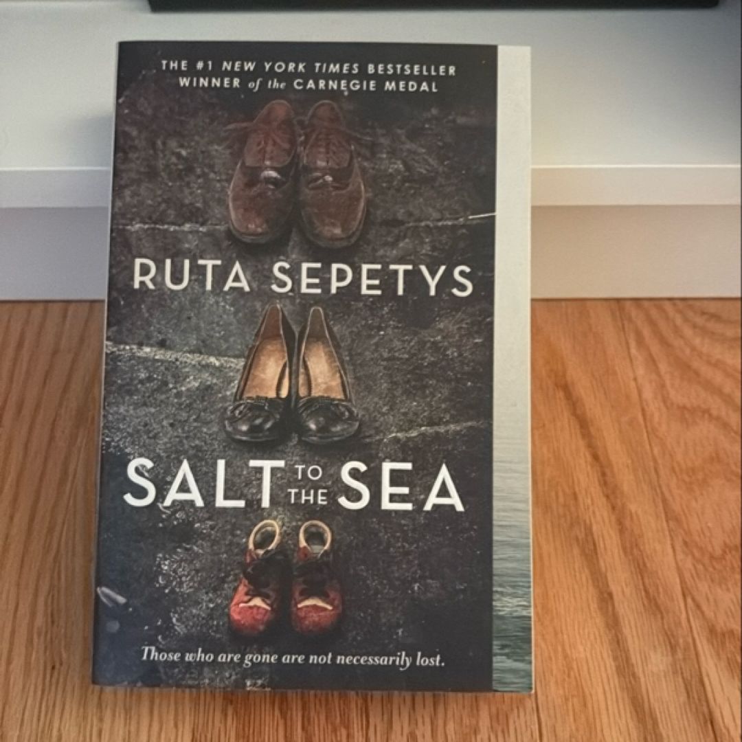 Salt to the Sea