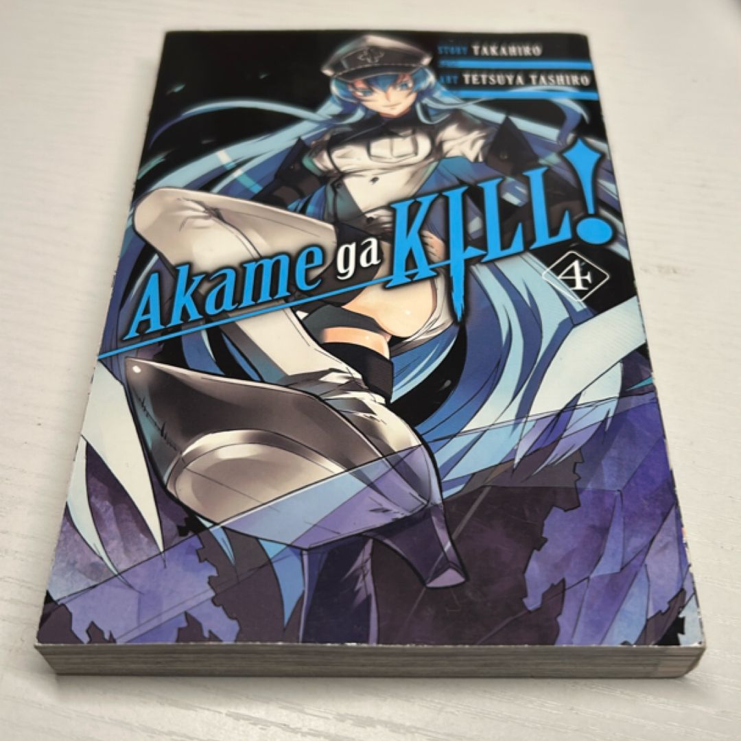 Akame Ga KILL!, Vol. 4