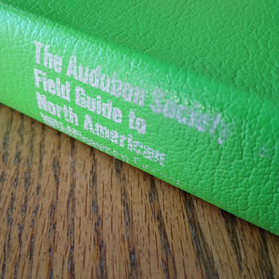 National Audubon Society Field Guide to Wildflowers