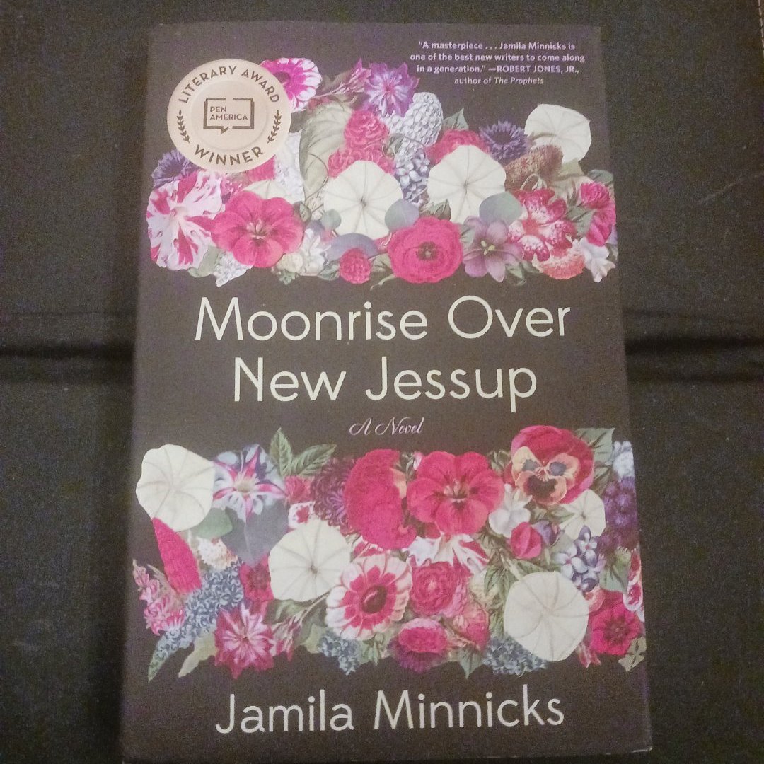 Moonrise over New Jessup