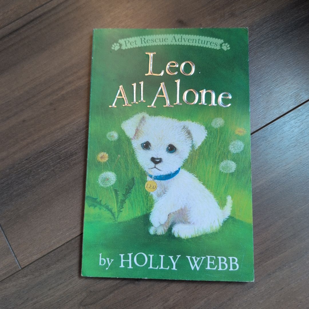 Pet Rescue Adventures: Leo All Alone