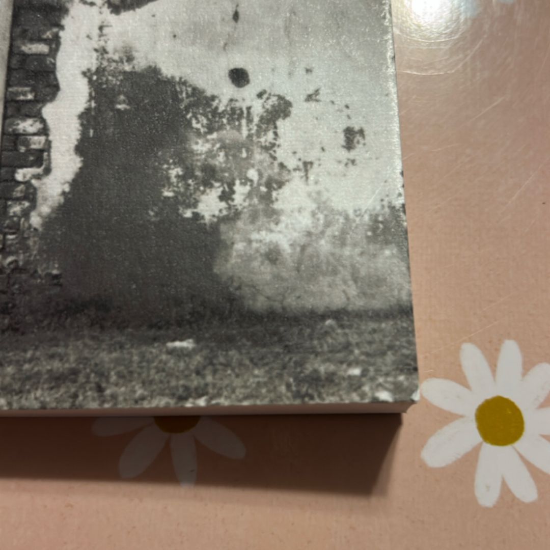 The Cement Garden