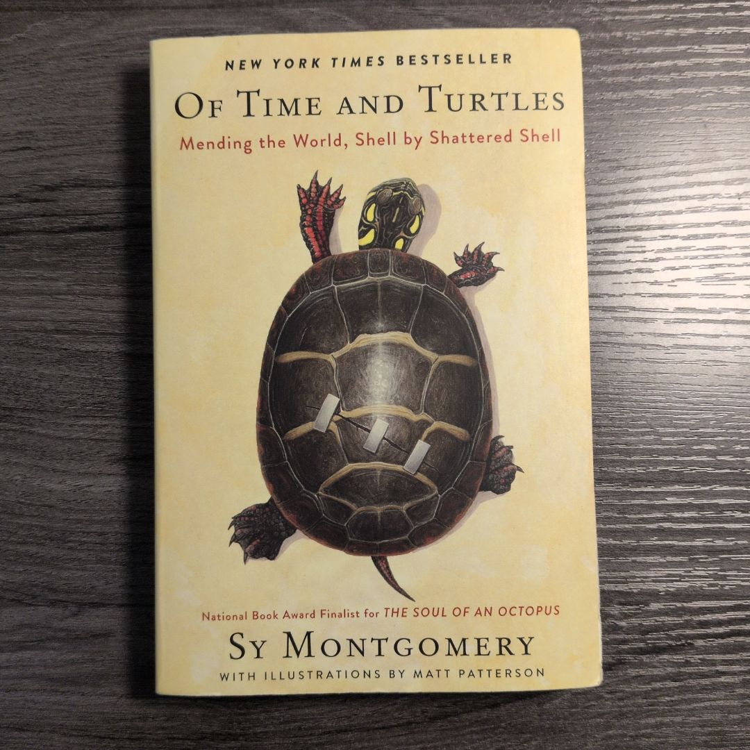 Of Time and Turtles
