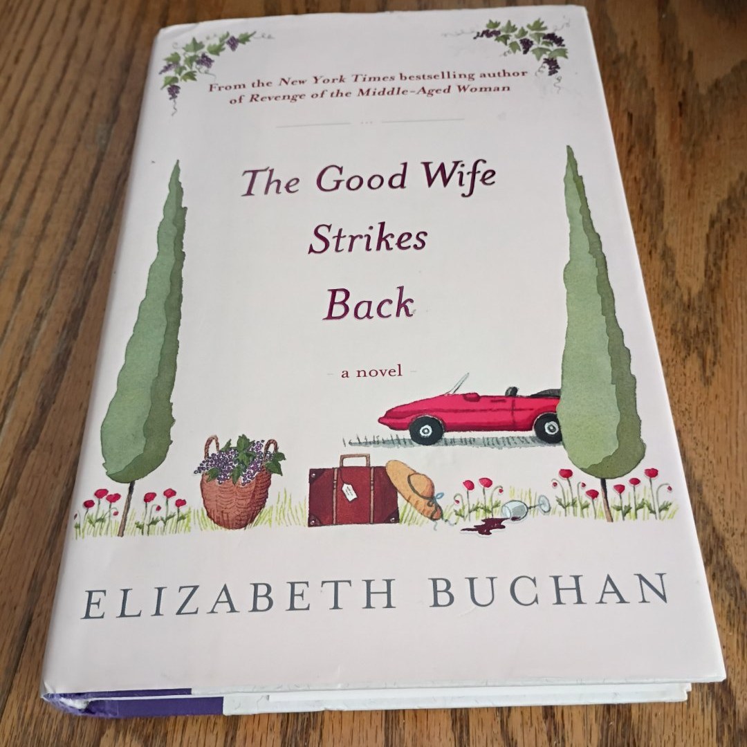The Good Wife Strikes Back