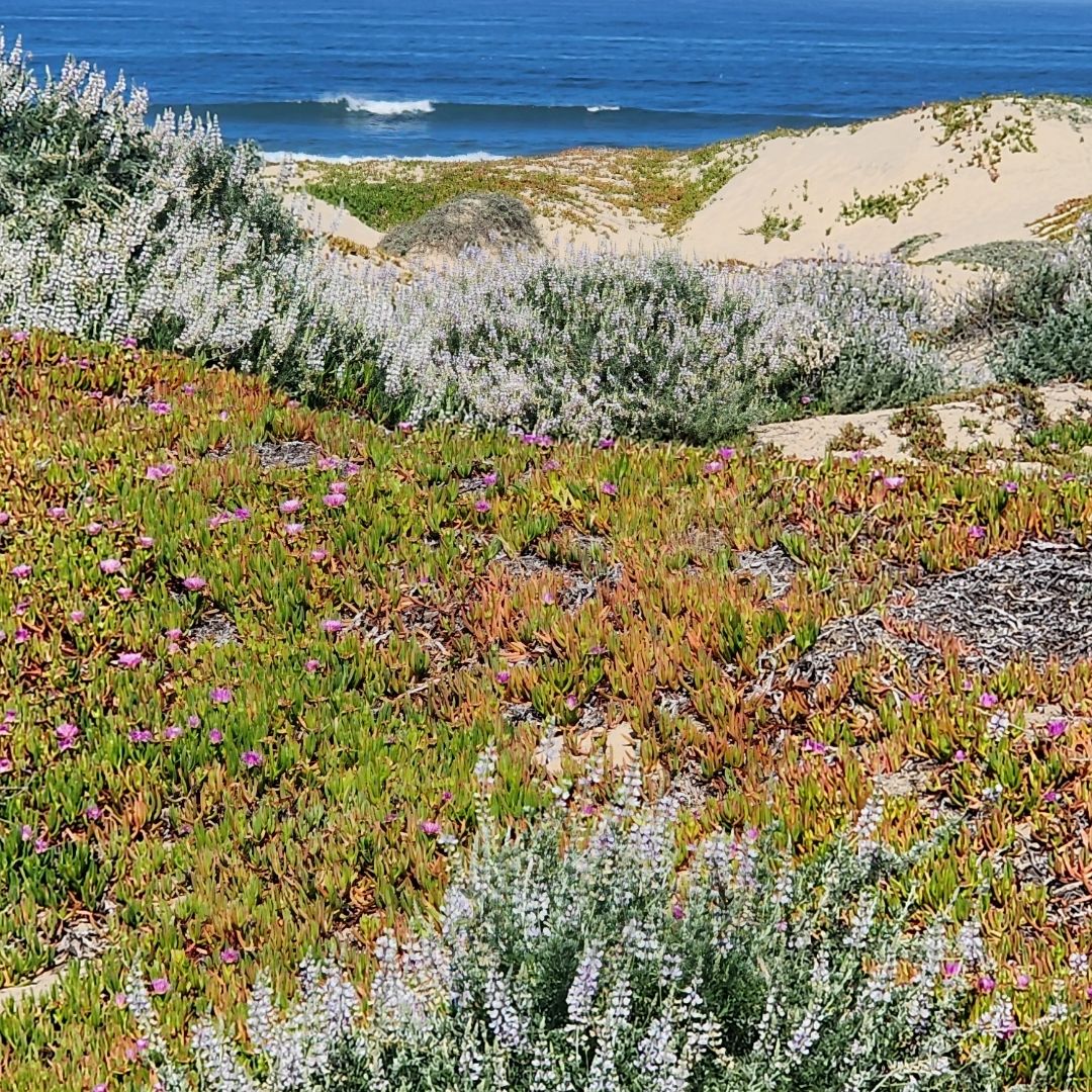 Living a Bookish Life