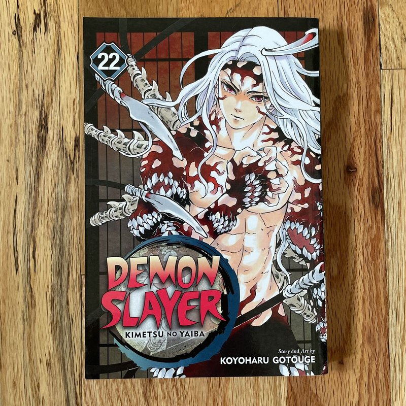 Demon Slayer: Kimetsu No Yaiba, Vol. 22