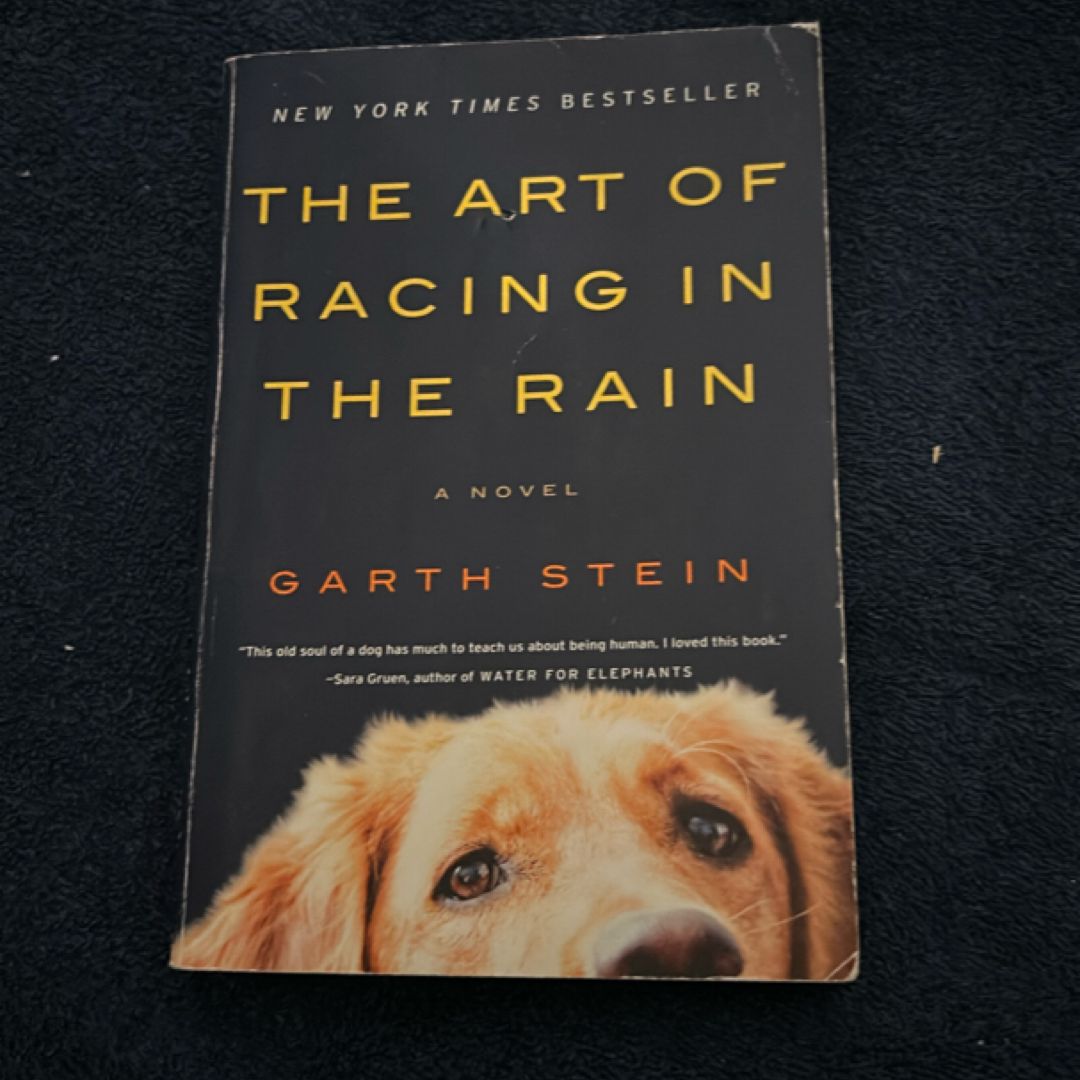 The Art of Racing in the Rain