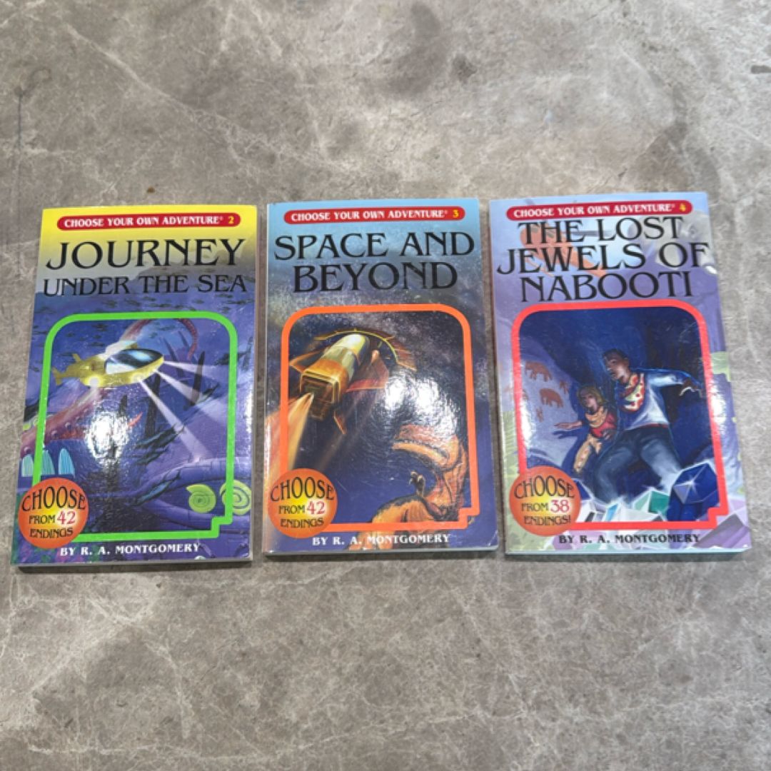 Choose your own adventure 2-4