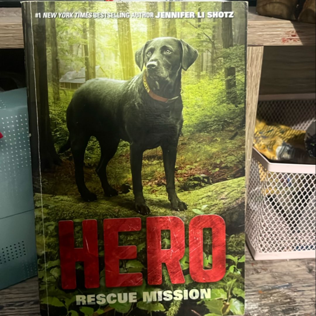 Hero: Rescue Mission