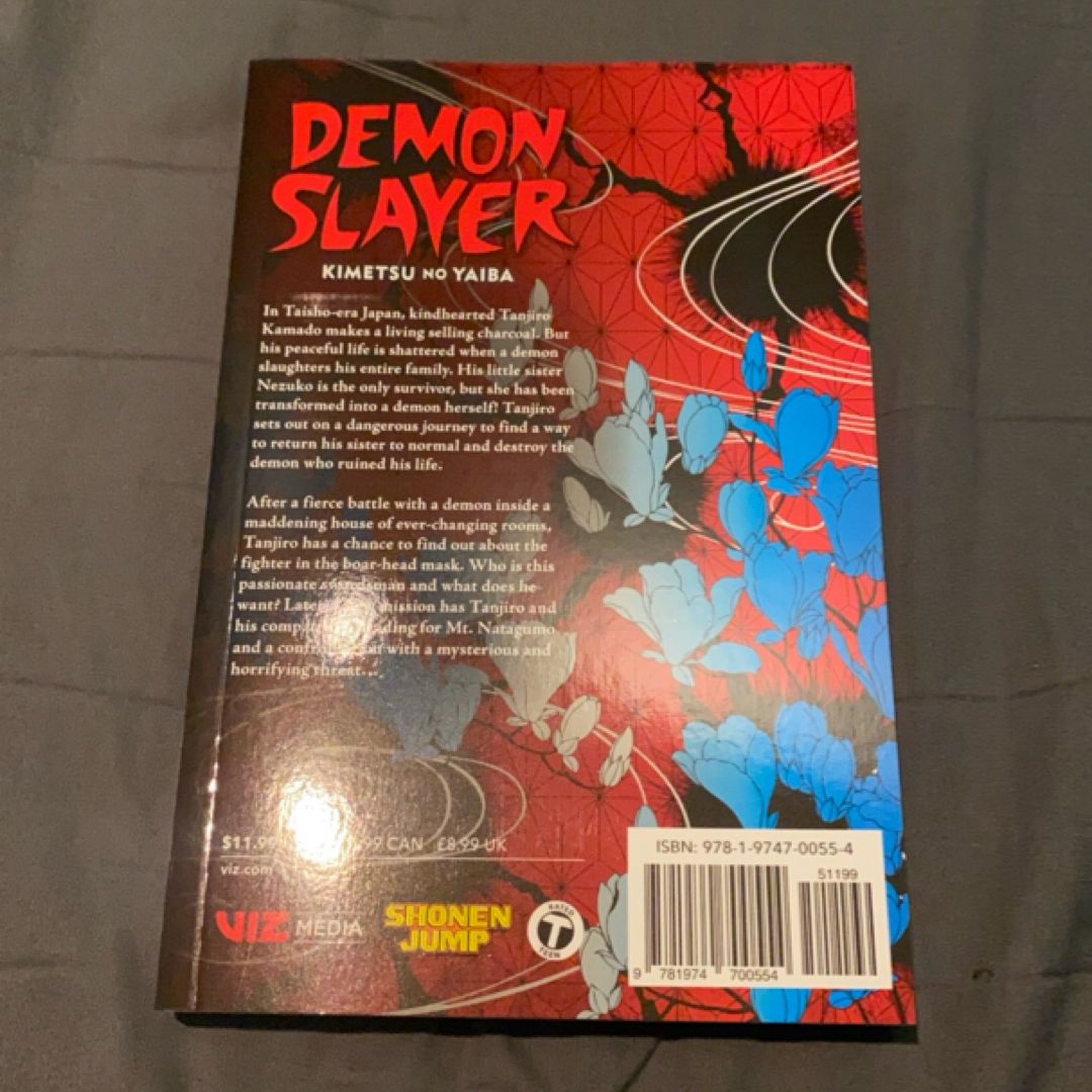 Demon Slayer: Kimetsu No Yaiba, Vol. 4