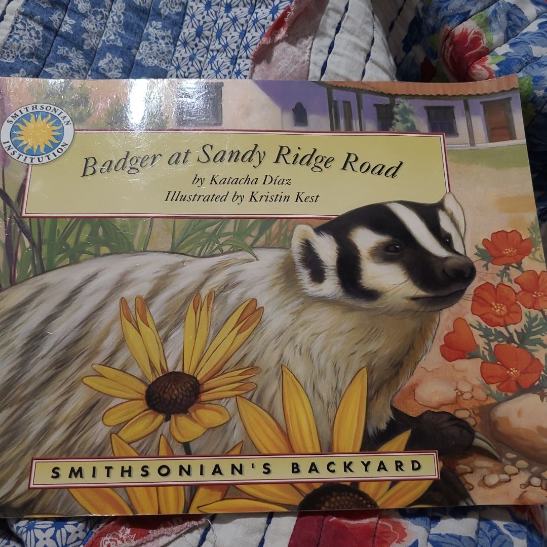 Badger at Sandy Ridge Road